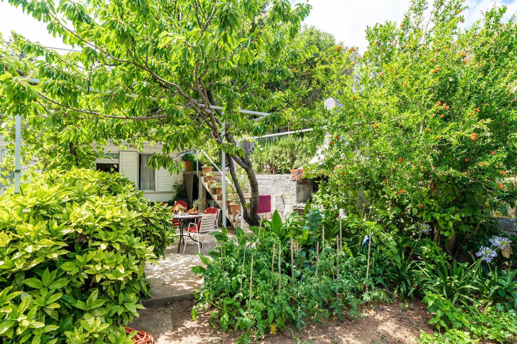 Apartamento Zarac *